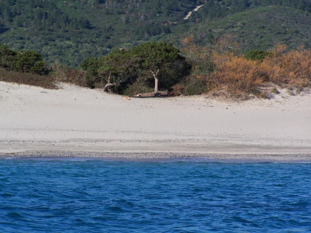 Nurazzolas Villaputzu Buitenkant foto