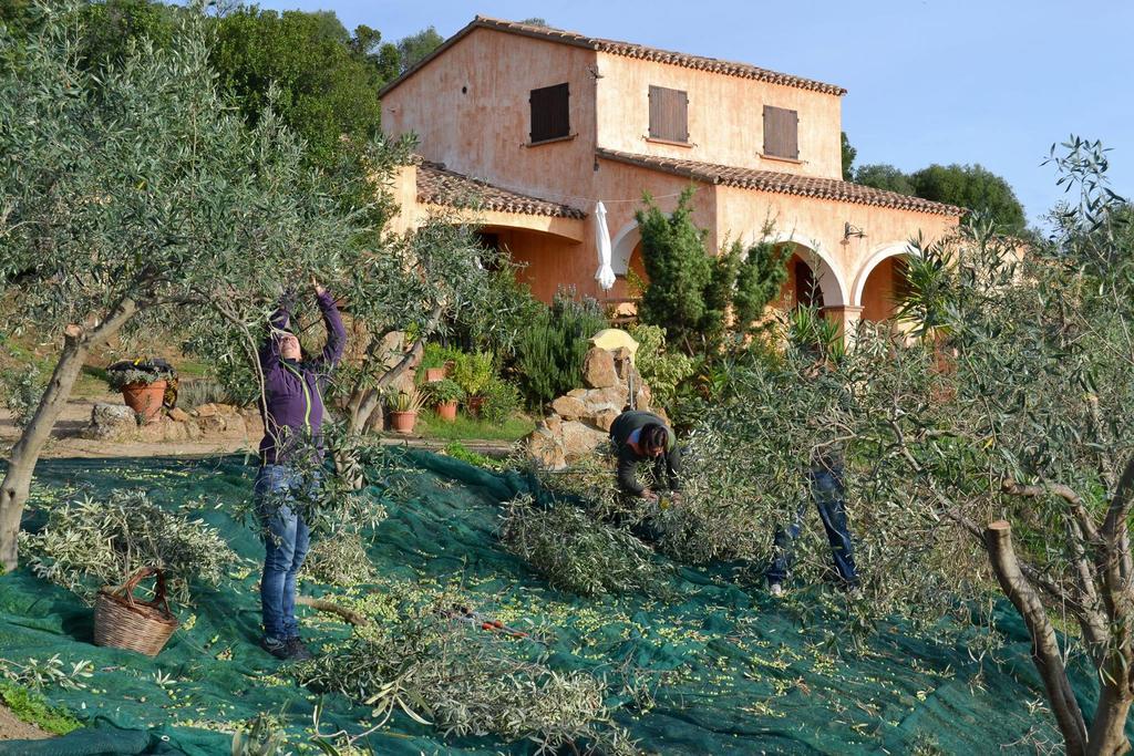 Nurazzolas Villaputzu Buitenkant foto