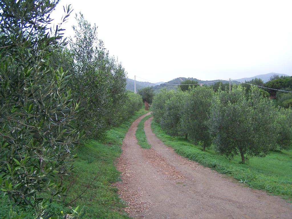 Nurazzolas Villaputzu Buitenkant foto