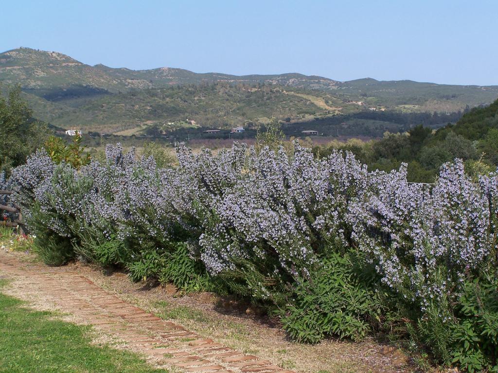 Nurazzolas Villaputzu Buitenkant foto