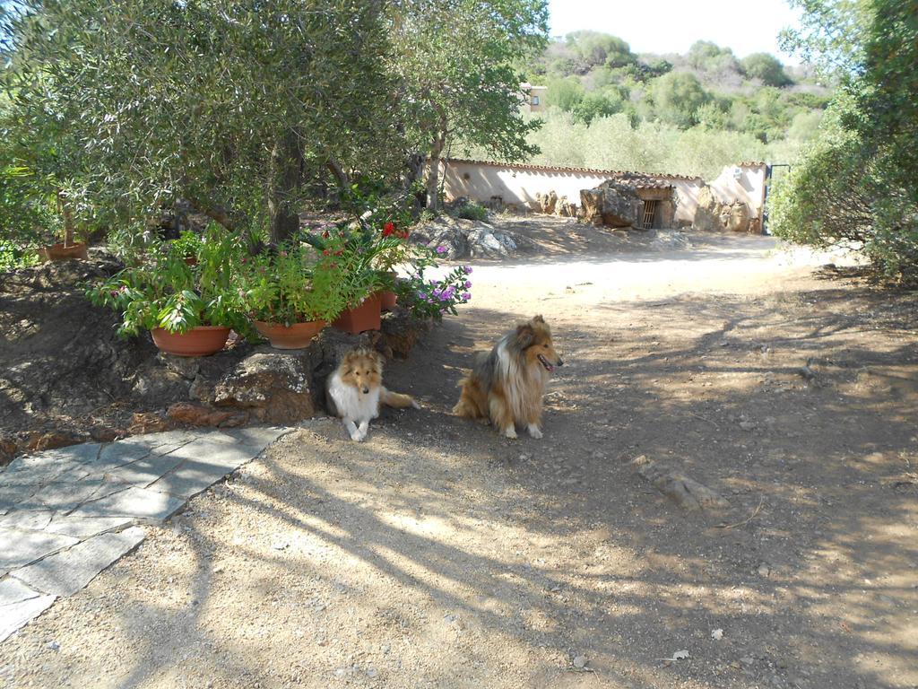 Nurazzolas Villaputzu Buitenkant foto