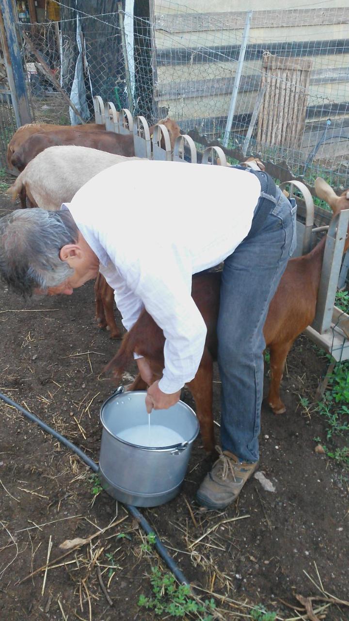 Nurazzolas Villaputzu Buitenkant foto
